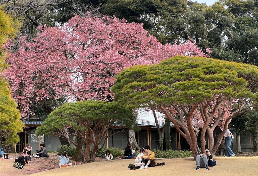 Tag 8: Osaka-Schloss