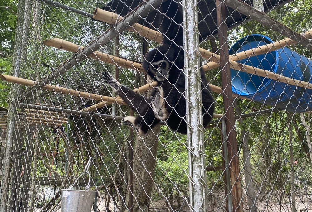 Woche 1/folgend - Dein Projekt 