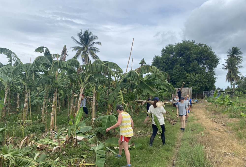 Woche 1/folgend - Dein Projekt