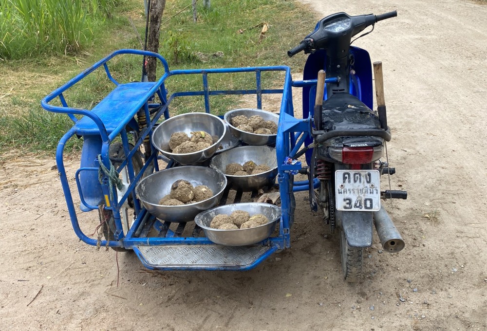 Woche 1/folgend - Dein Projekt 