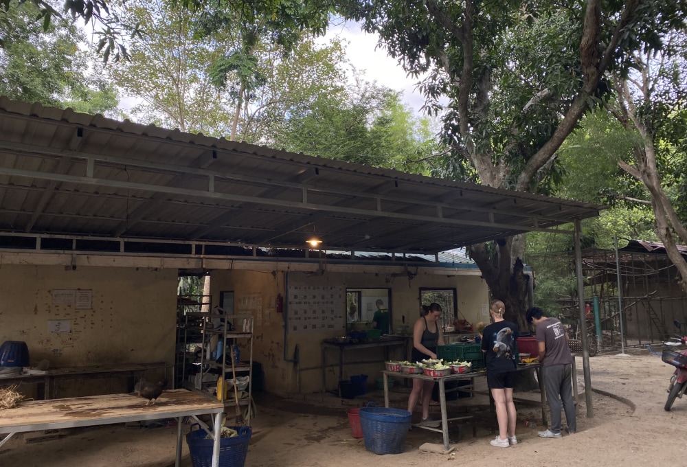 Beispiel für eine typische Woche in deinem Projekt