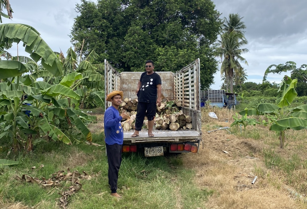 Woche 1/folgend - Dein Projekt 