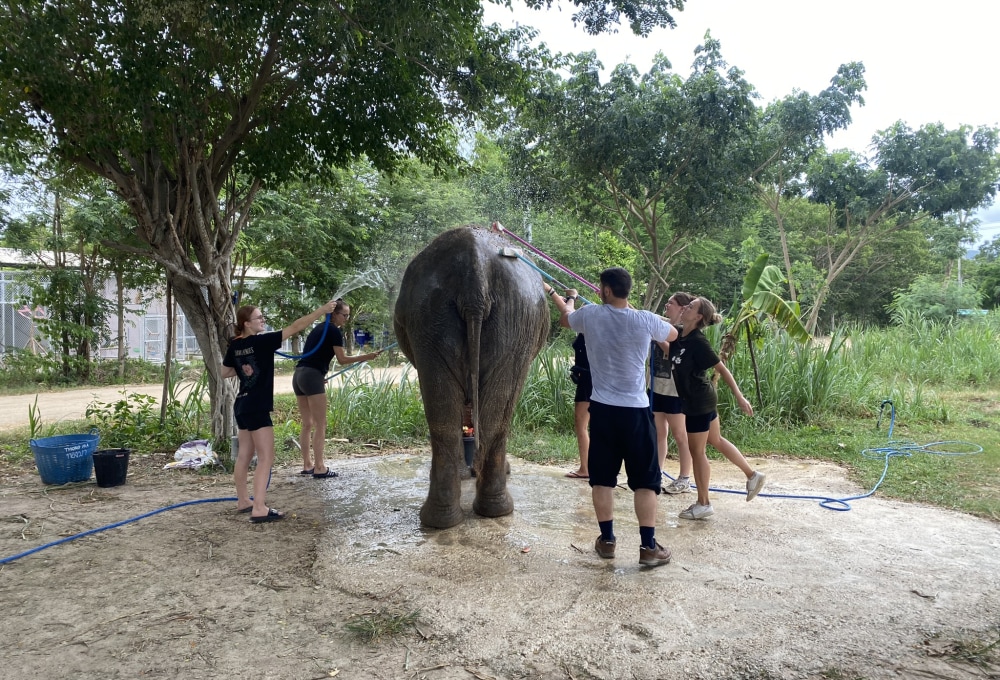 Woche 1/folgend - Dein Projekt