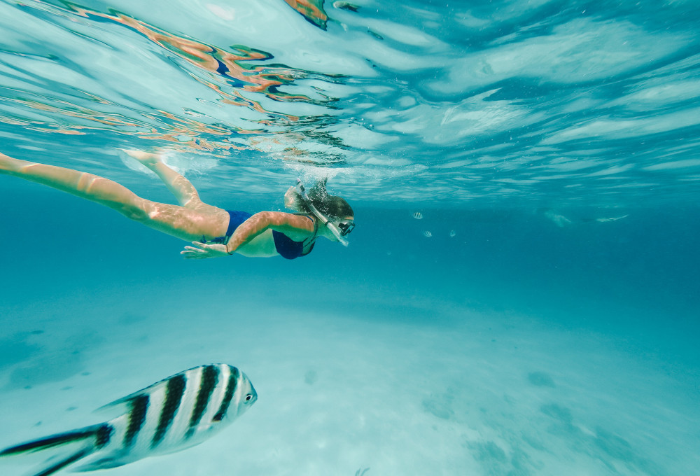 Tag 10: Schnorcheln im Marine Reserve