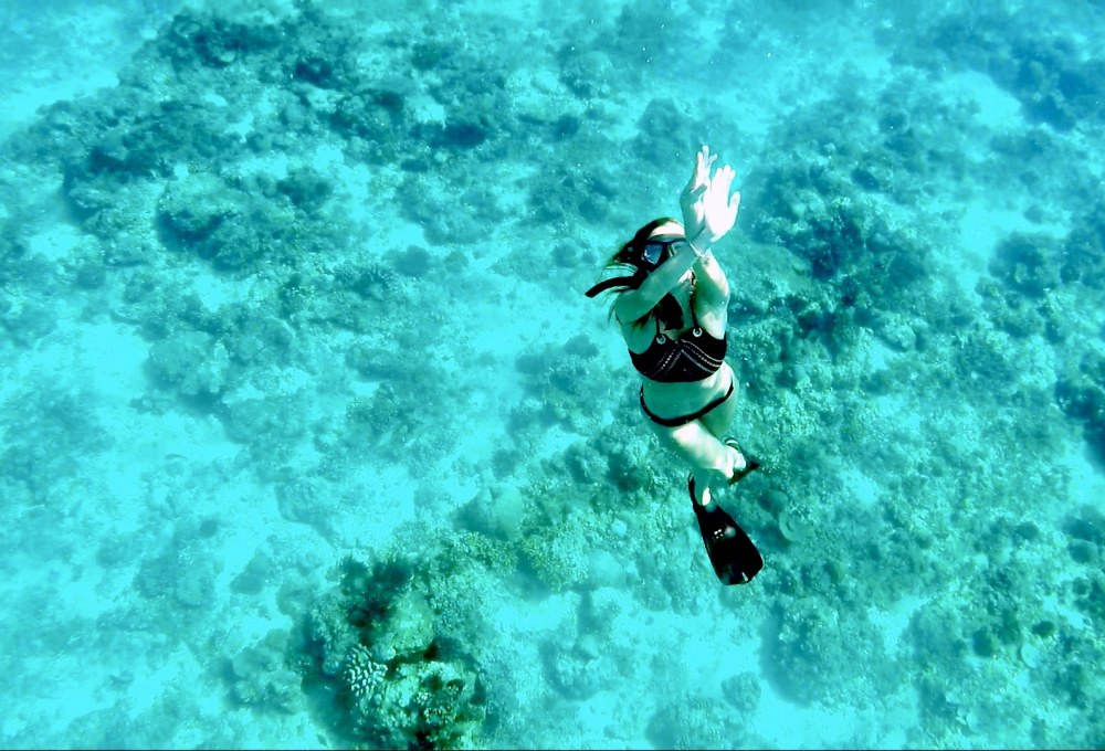 Tag 1: Theorie PADI Open Water