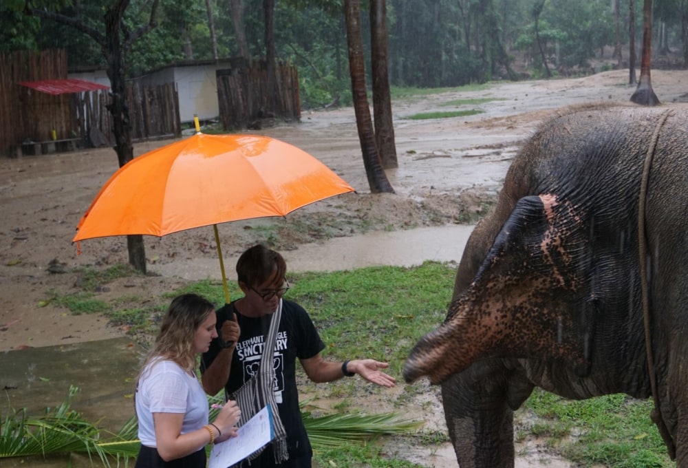 Ab Woche 2: Dein Projekt