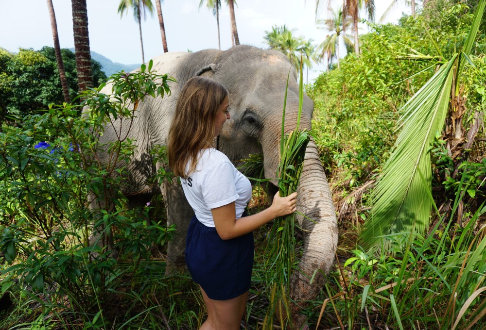 Elephant Island Experience Thailand