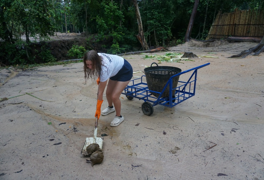 Ab Woche 2: Dein Projekt