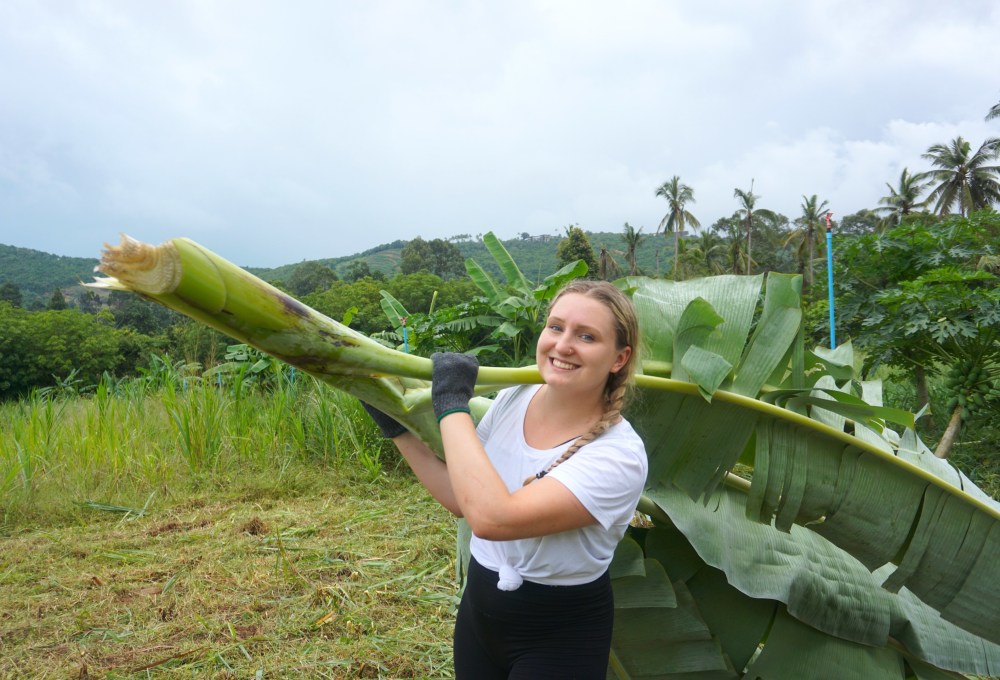 Ab Woche 2: Dein Projekt