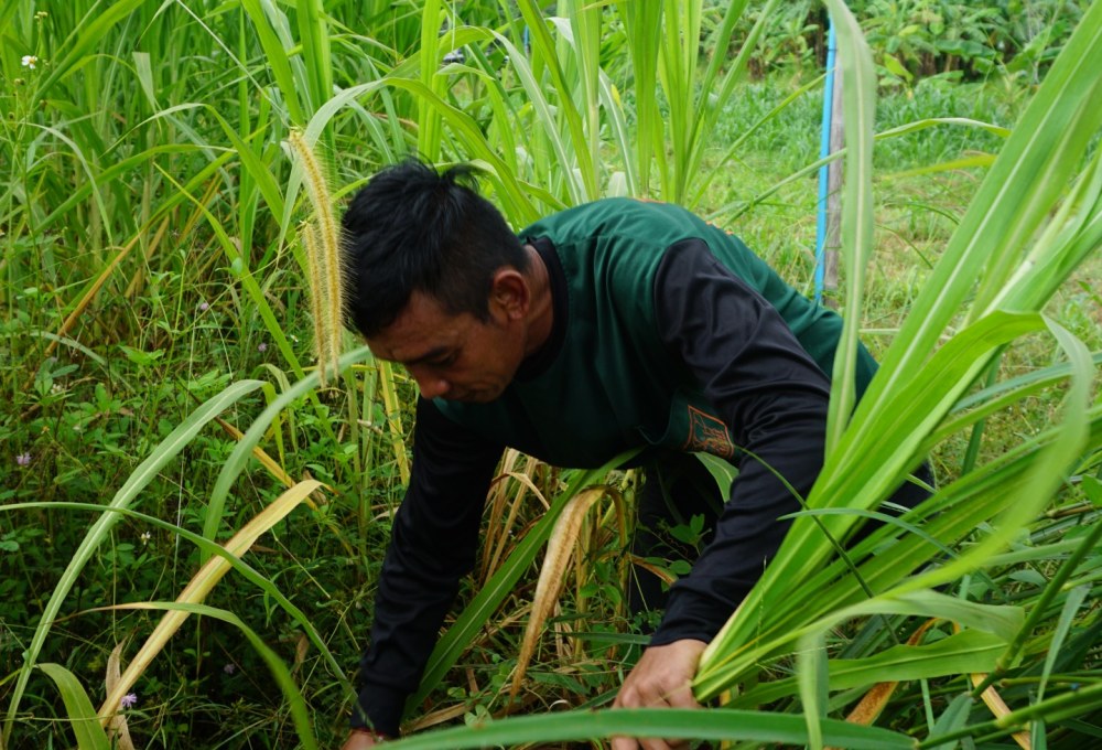 Ab Woche 2: Dein Projekt