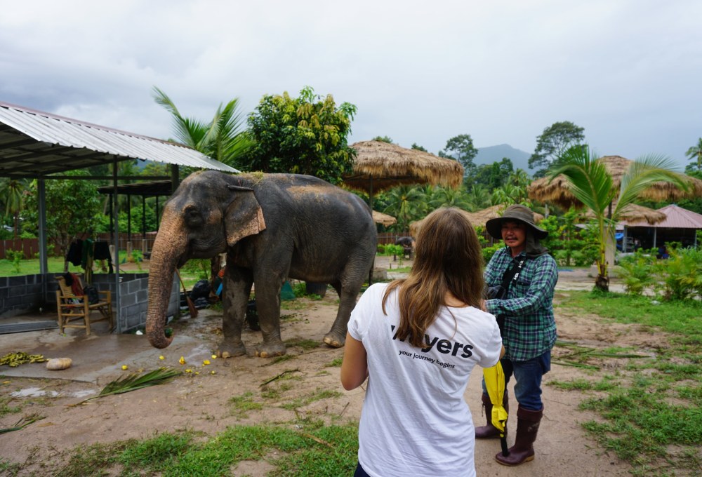 Ab Woche 2: Dein Projekt