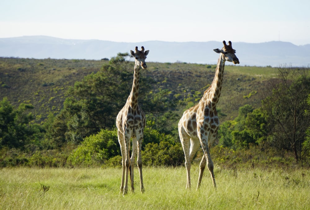 Beispiel für eine typische Woche in deinem Projekt