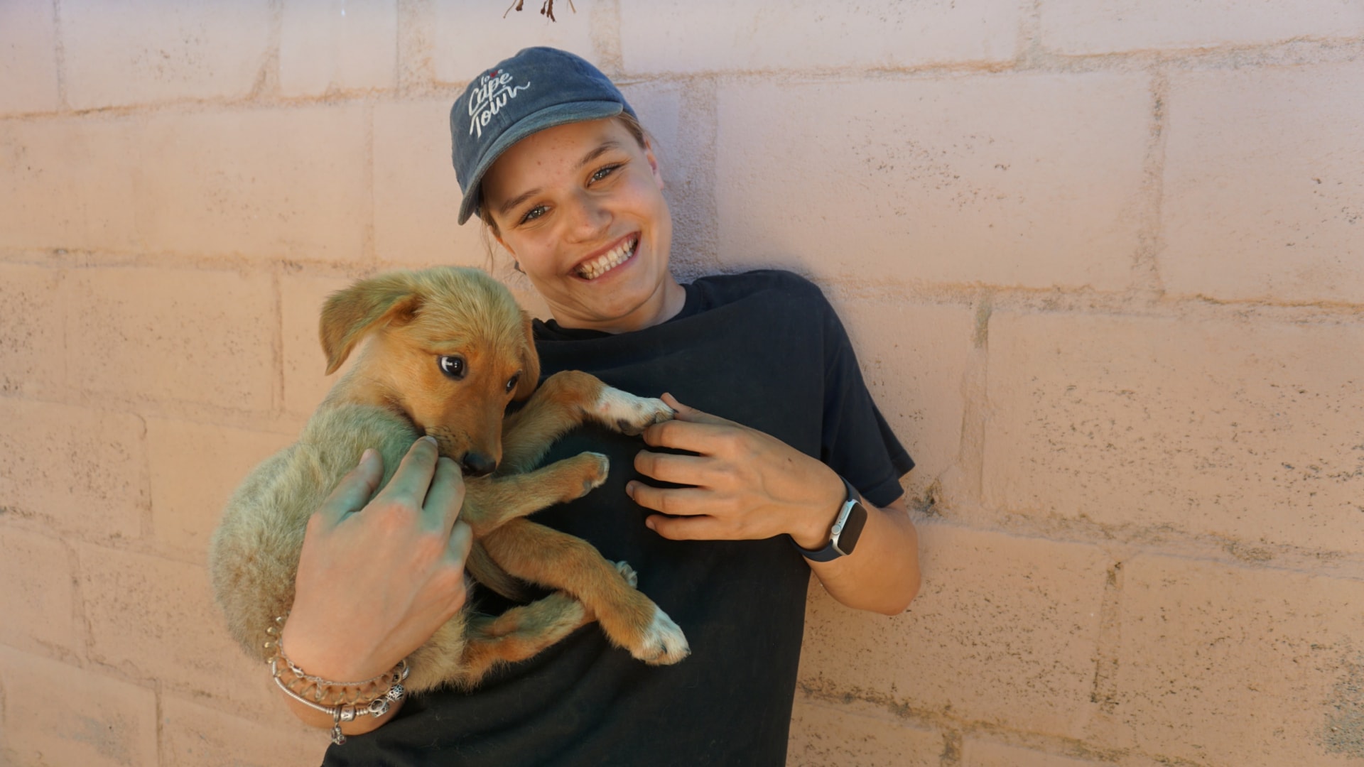 Tierheim-Projekt in Südafrika