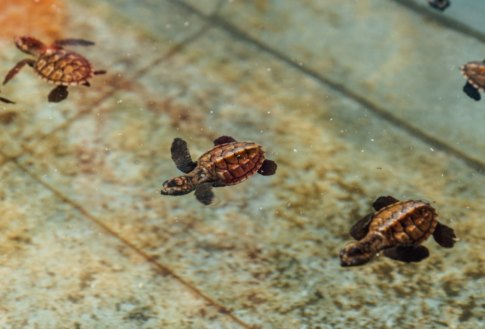 Deine Wochen im Projekt