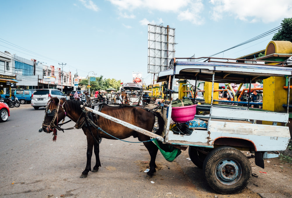 Tag 1 – Deine Ankunft auf Lombok am Sonntag