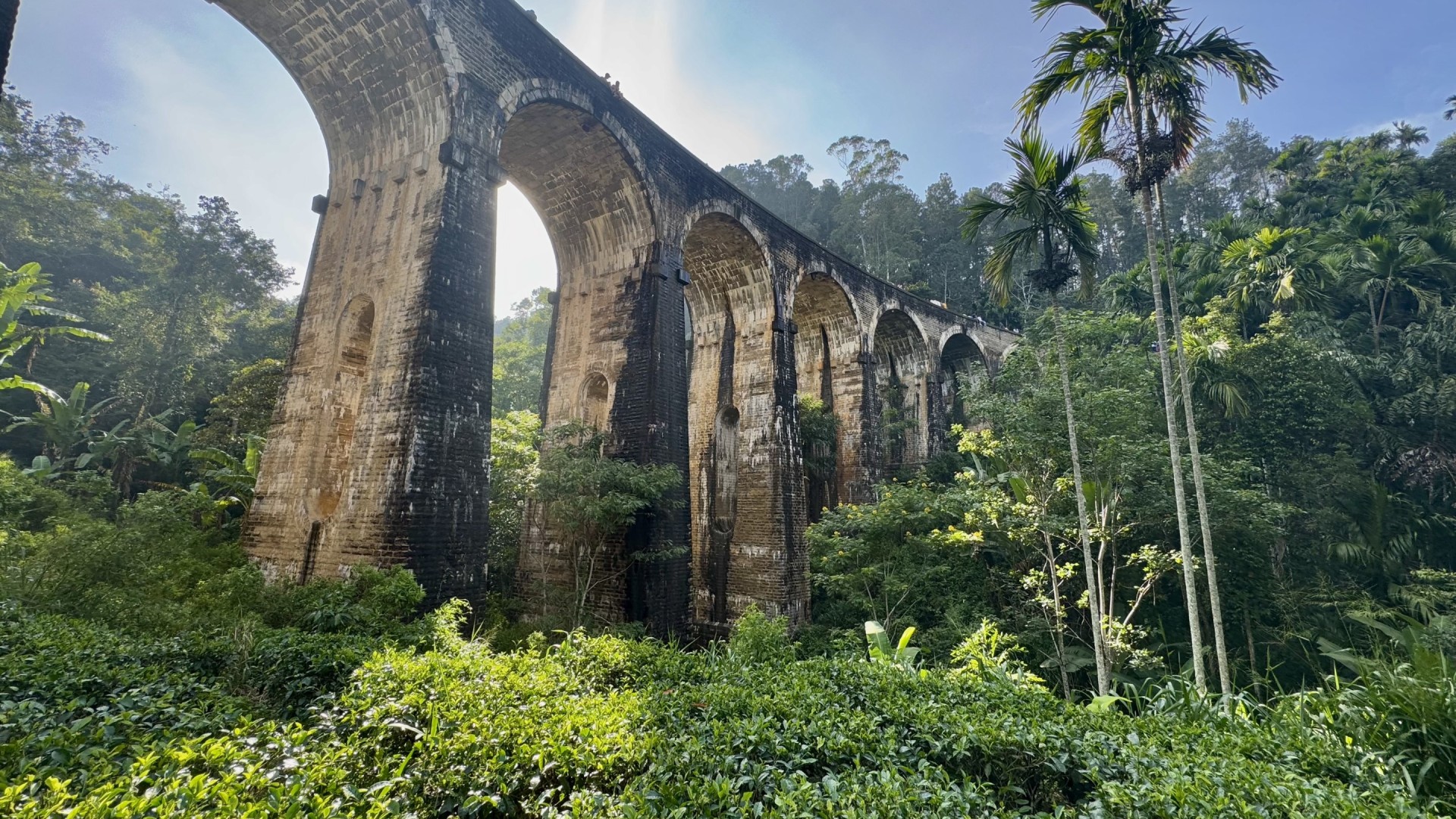 Help Surf Explore Sri Lanka