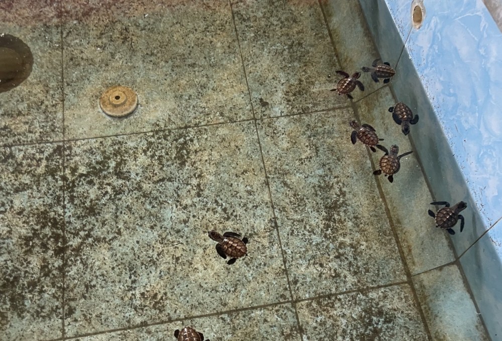 Deine Wochen im Projekt