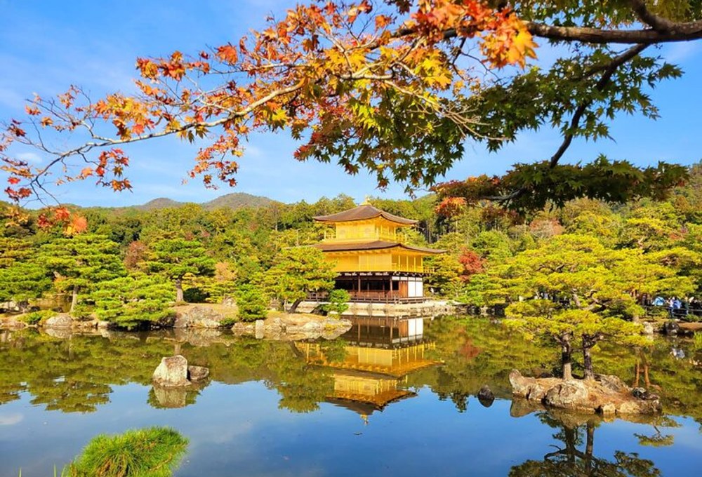 Tag 11: Bambuswald & Goldener Pavillon