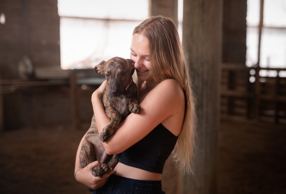 Straßenhunde-Projekt in Mexiko