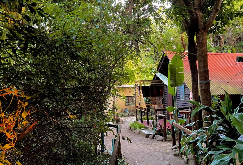 Cabins im wayers Home