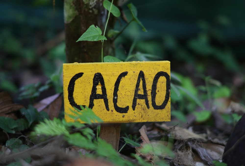 Tag 3: Wildlife Sanctuary + Kaffee & Kakao Tour