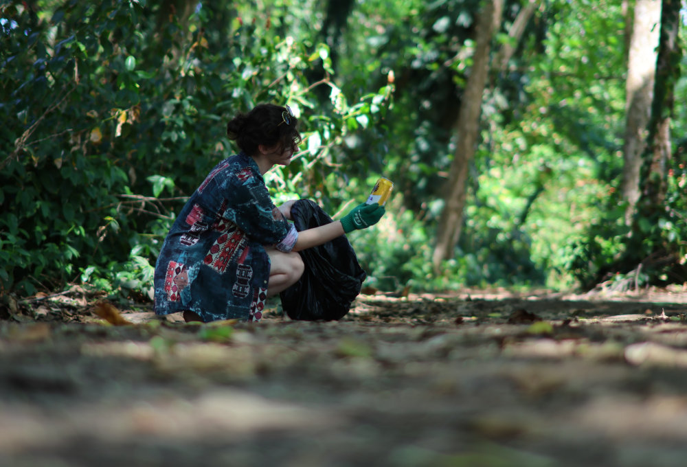 Tag 6: Volunteering-Erlebnis im Nebelwald