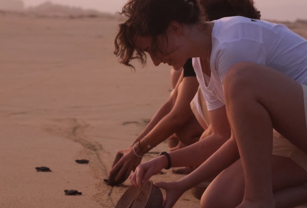 Dein Meeresschildkröten- & Recycling-Projekt