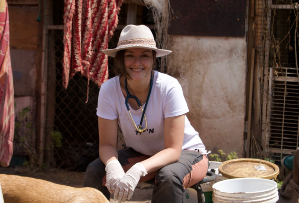 ab Woche 2 - Dein Projekt