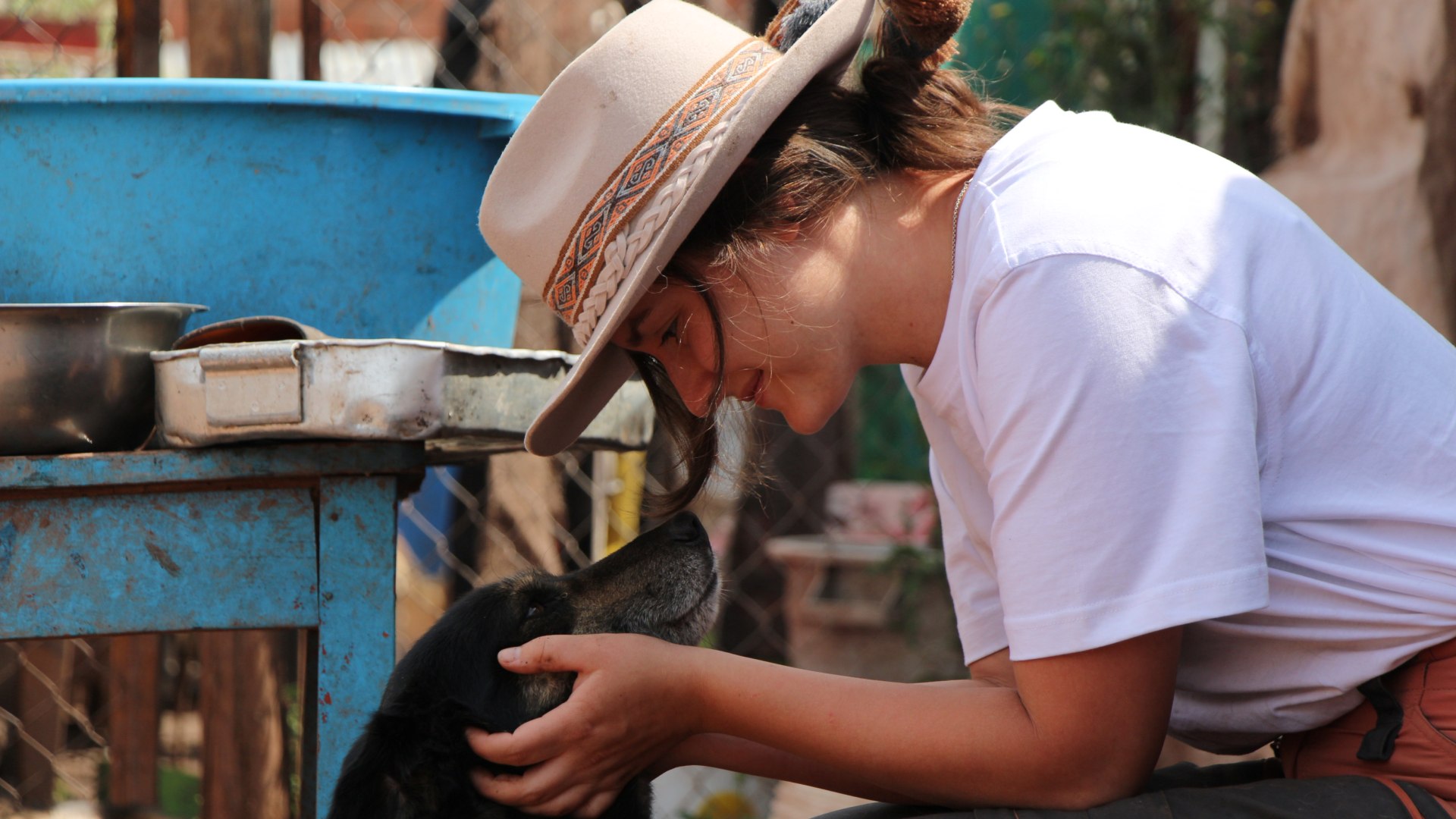Straßenhunde-Projekt in Peru