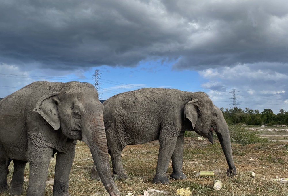 Woche 1/folgend - Dein Projekt