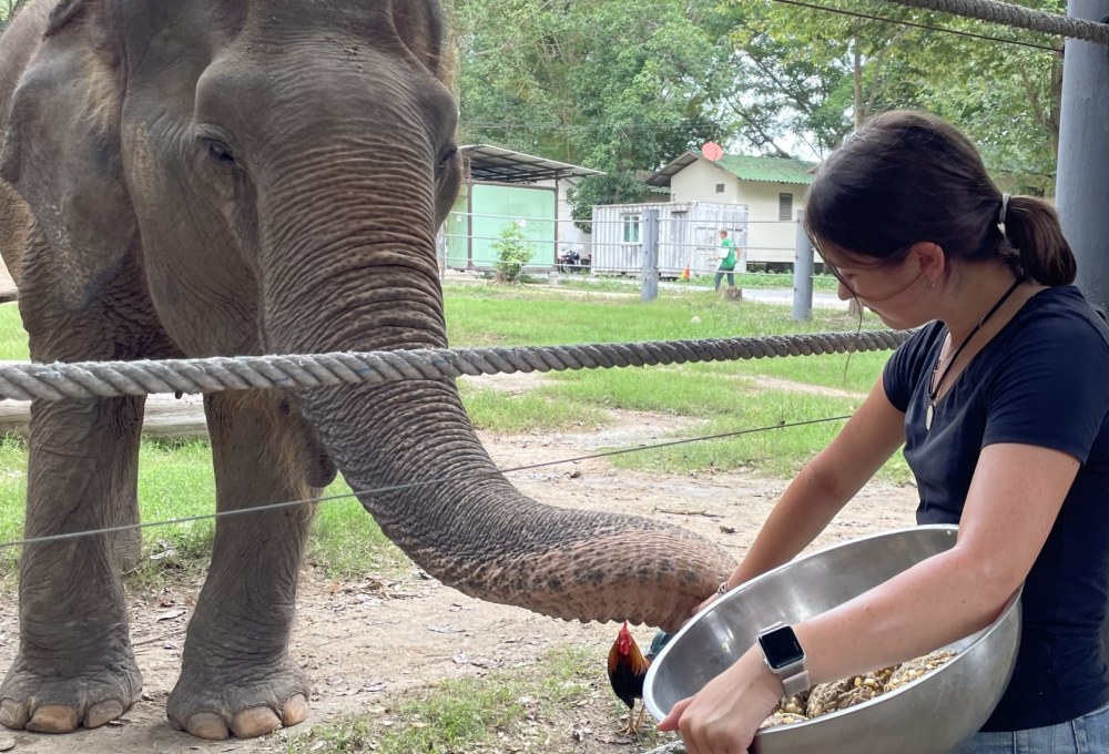 Woche 1/folgend - Dein Projekt