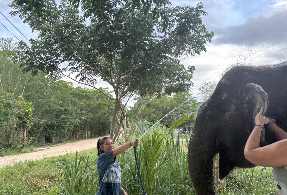 Woche 1/folgend - Dein Projekt