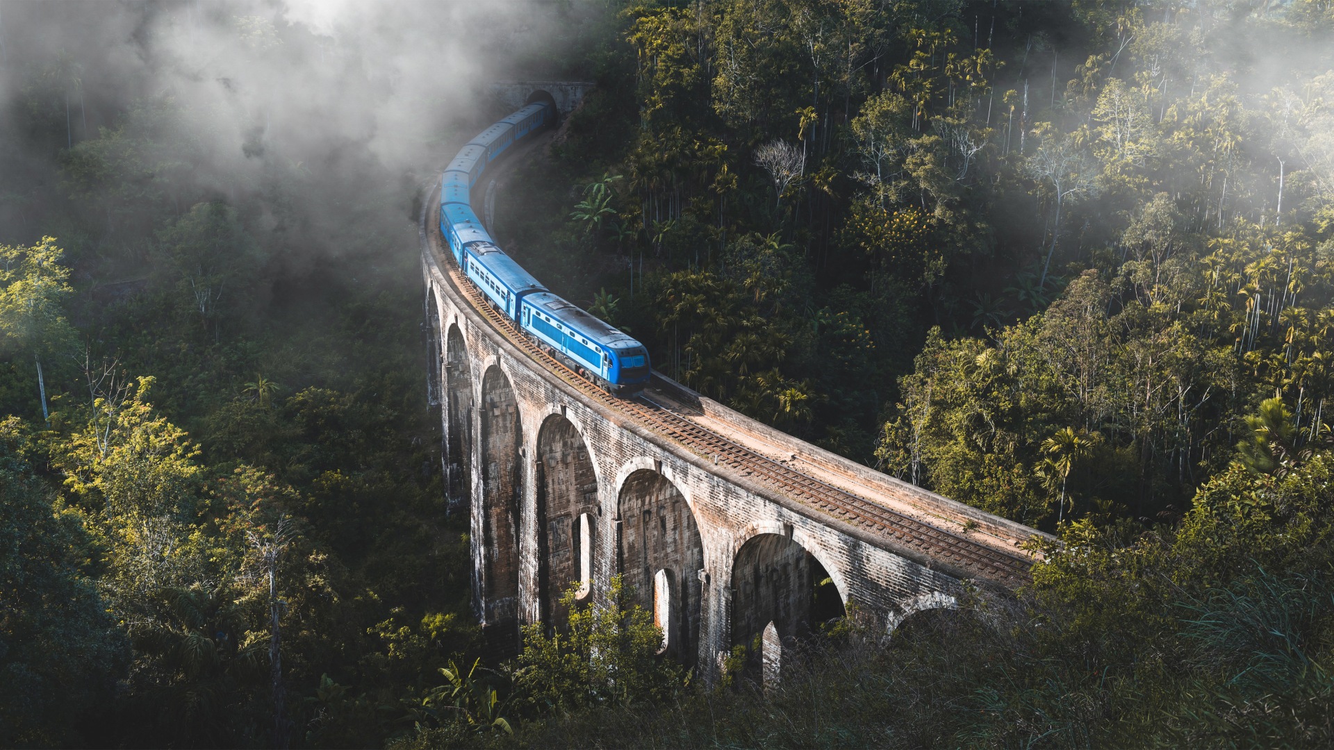 Help Surf Explore Sri Lanka