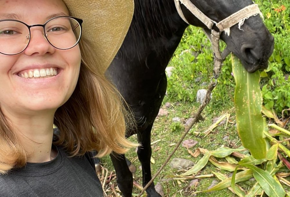 Beispiel für einen typischen Tag im Pferde Projekt