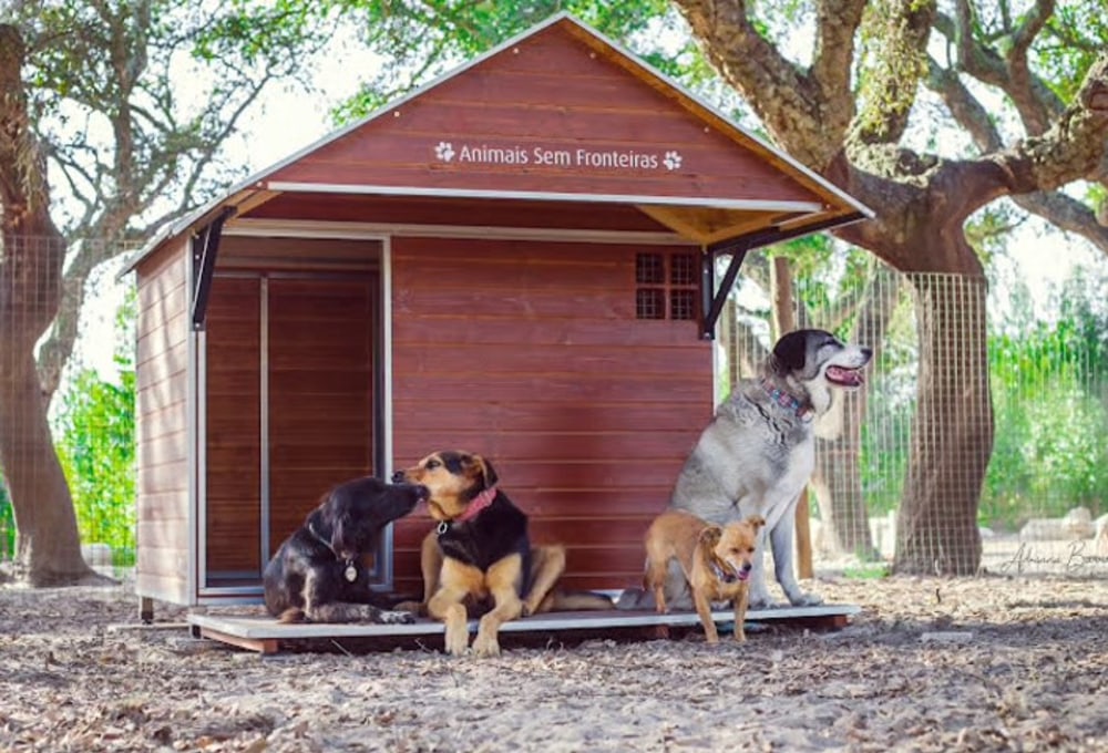 Tierschutz-Projekt Portugal