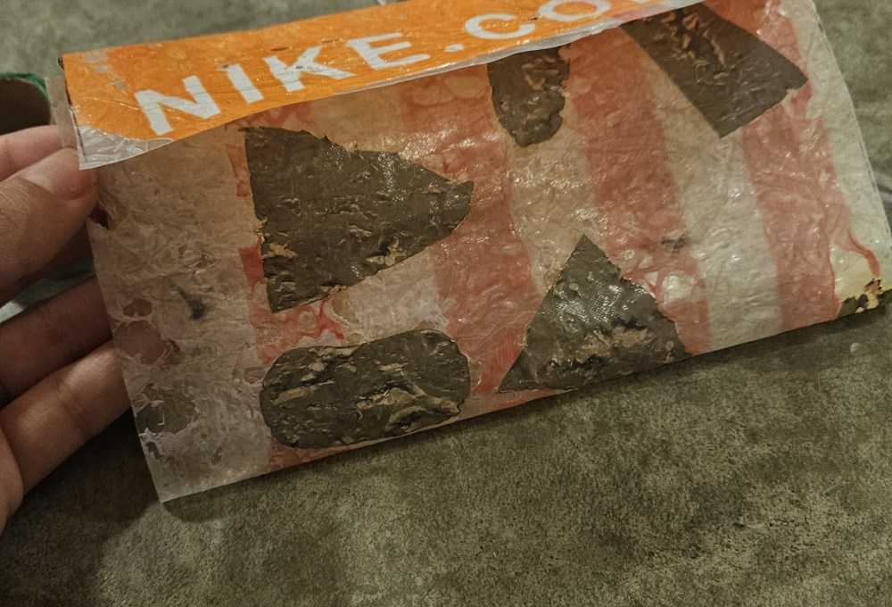 Dein Meeresschildkröten- & Recycling-Projekt