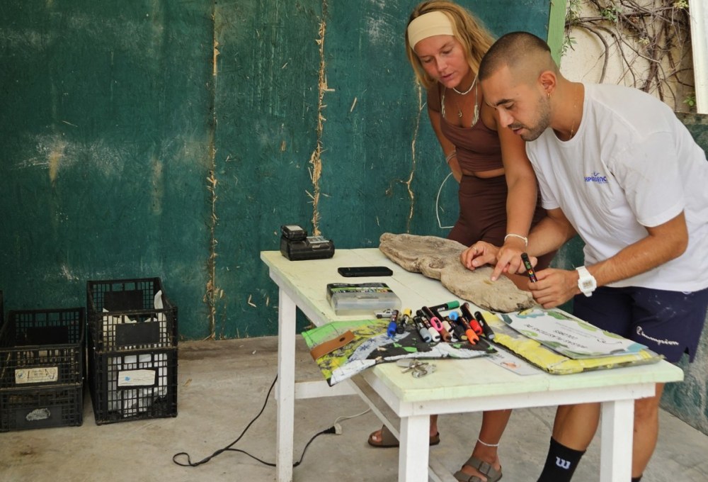 Dein Meeresschildkröten- & Recycling-Projekt