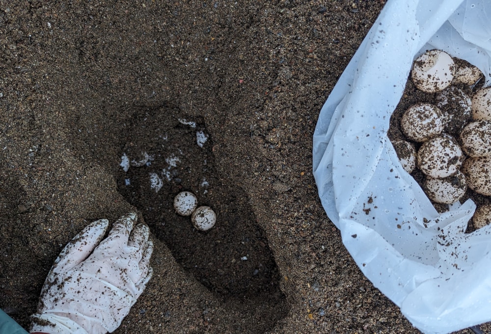 Tag 2/folgend – Dein Projekt