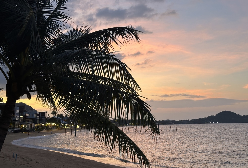 Tag 9: Sunrise Safari & weiter nach Koh Samui