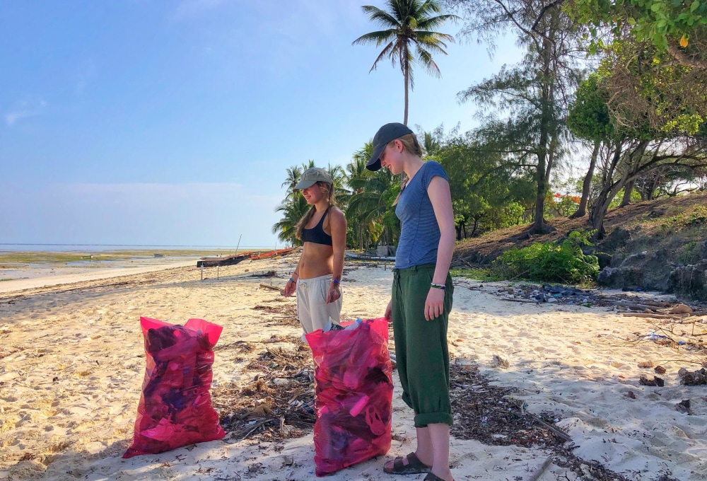 Ab Montag - Dein Meeresschildkröten-Projekt auf Sansibar