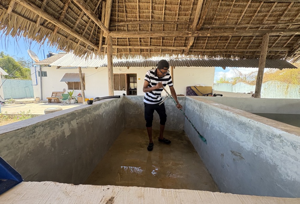 Ab Montag - Dein Meeresschildkröten-Projekt auf Sansibar