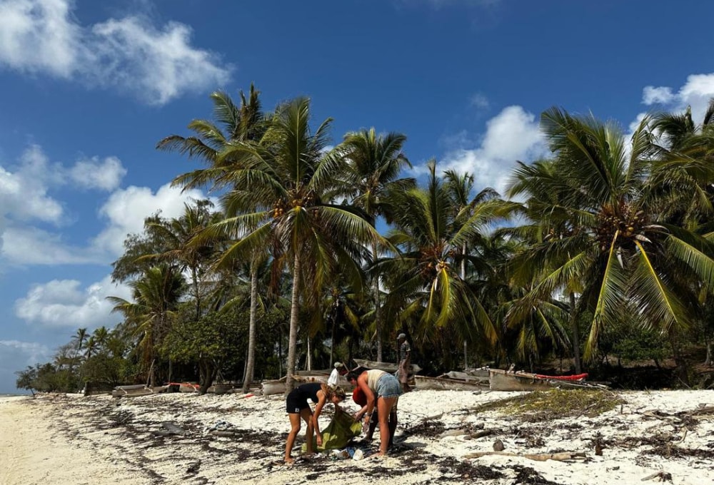 Ab Montag - Dein Meeresschildkröten-Projekt auf Sansibar