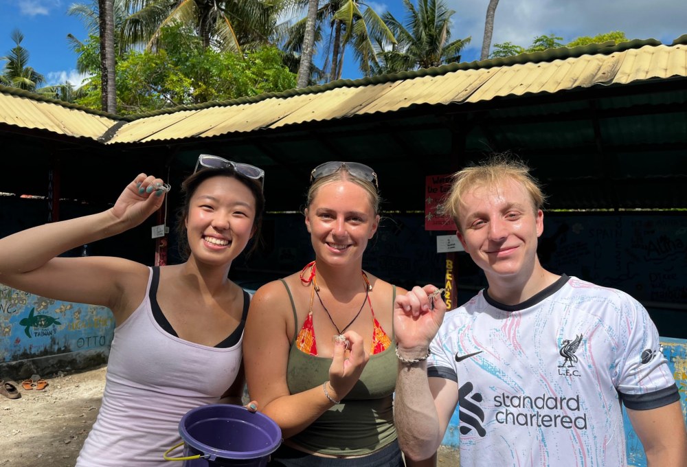 Ab Woche 2 - Dein Projekt