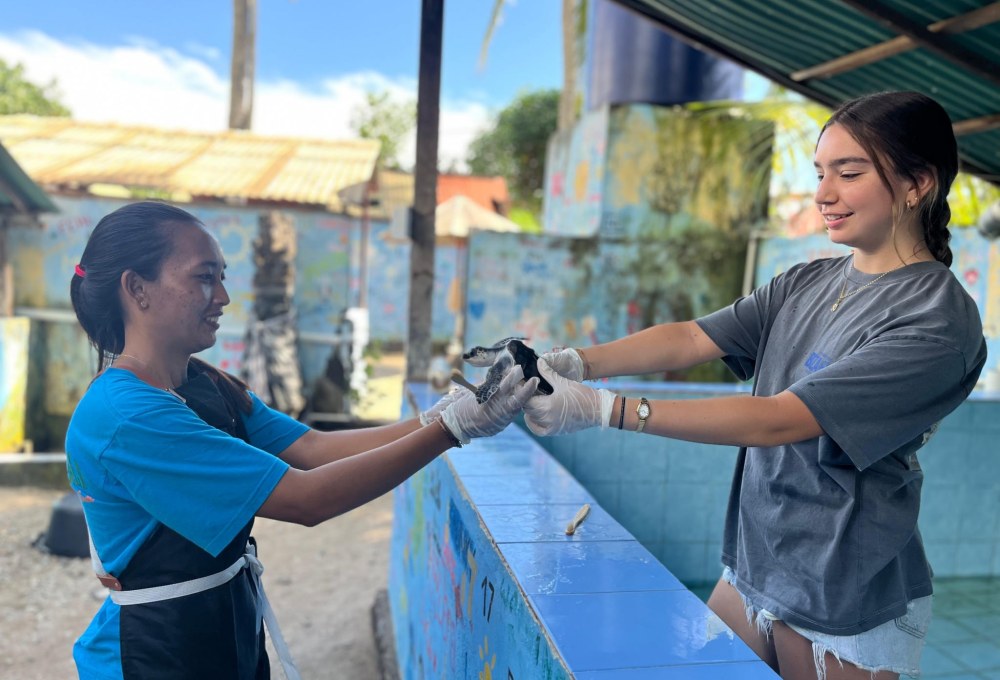 Woche 1: Dein Meeresschildkröten-Projekt