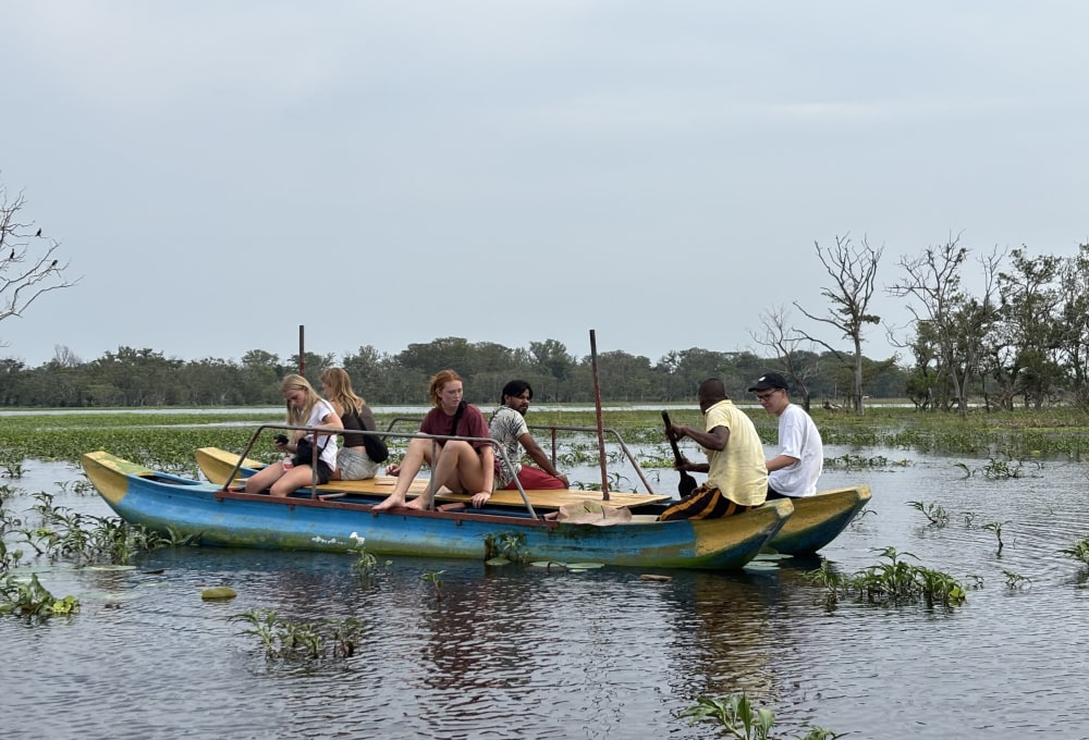 Tag 11: Dambulla