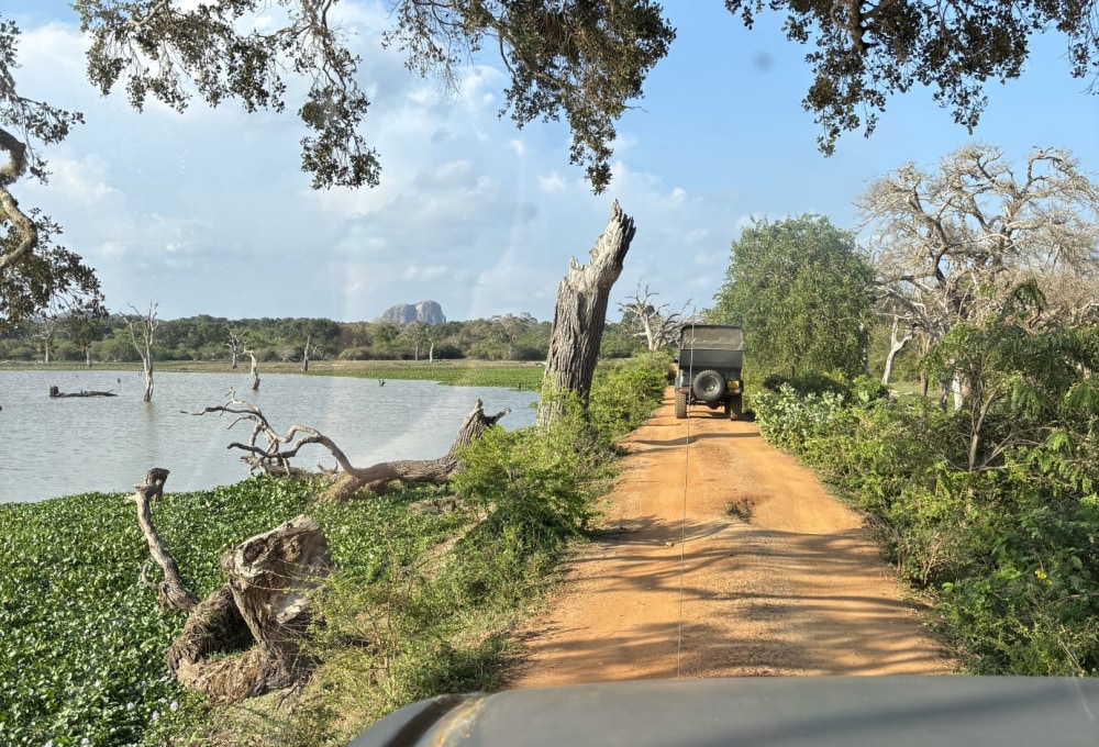 Tag 7: Yala Nationalpark