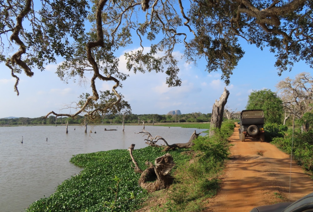 Tag 1: Yala Nationalpark