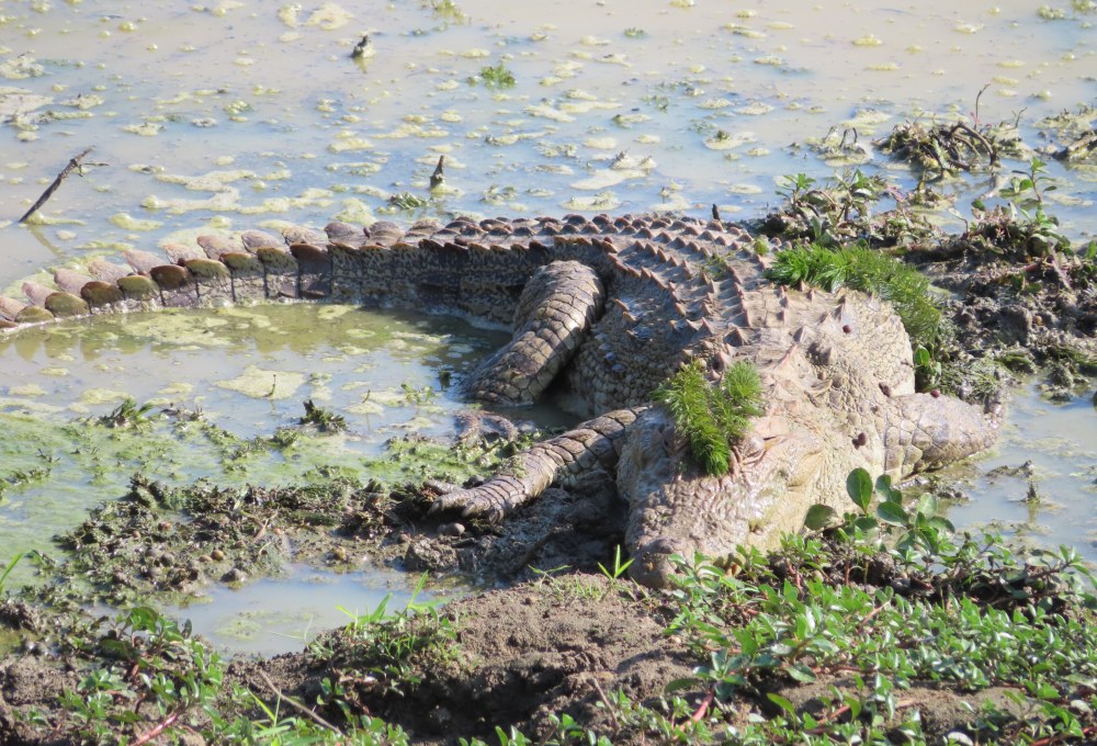 Tag 1: Yala Nationalpark