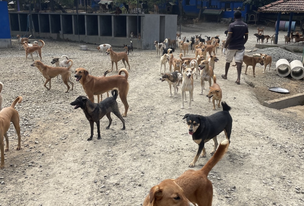 Ab Montag - Dein Projekt
