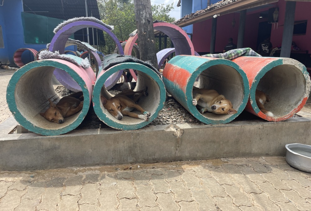 Ab Montag - Dein Projekt